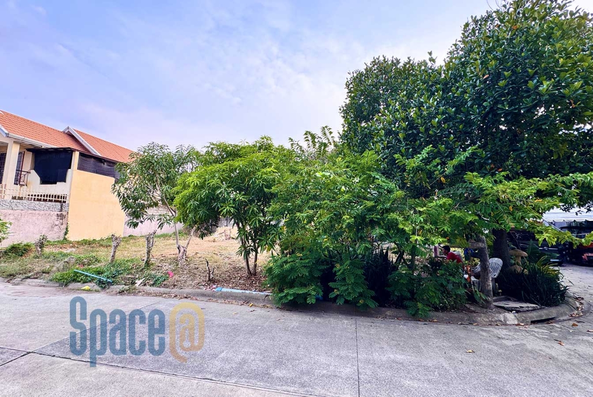Corner Lot inside Subdivision Mactan
