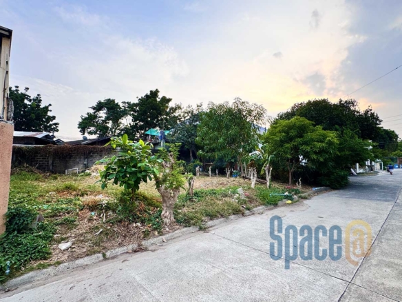 Corner Lot inside Subdivision Mactan