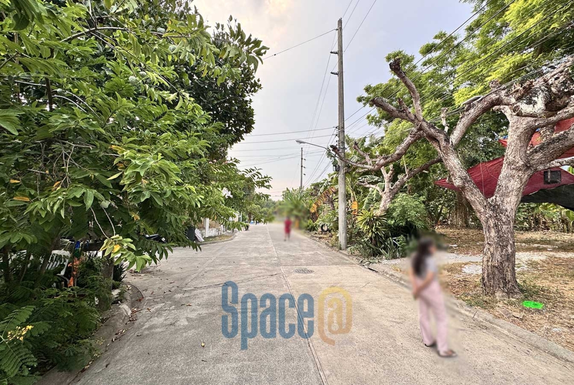 Corner Lot inside Subdivision Mactan